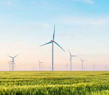 非洲赤道几内亚政府官员一行赴6731· mo顶级游戏娱乐能源参观考察