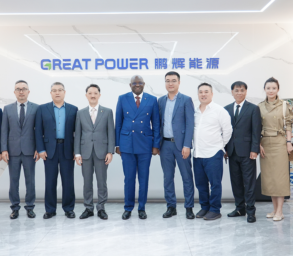 El embajador de la República de Gambia visita Great Power para discutir proyectos de energía solar y almacenamiento de energía en ?frica Occidental